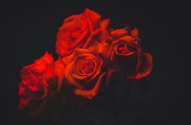 PARÁBOLA AS ROSAS, Saiba reconhecer o valor de um presente quando ganhar!