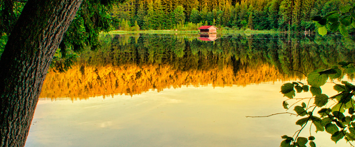 imagem da publicacao