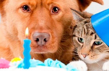 AS MAIS BONITAS MENSAGENS DE ANIVERSÁRIO