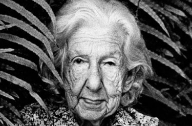 FRASES DE CORA CORALINA