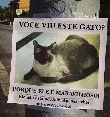 IMAGENS COM FRASES ENGRAÇADAS