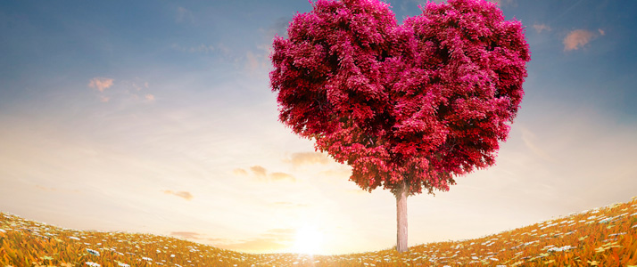 FRASES ESPIRITAS DE AMOR FRASES ESPIRITAS DE AMOR