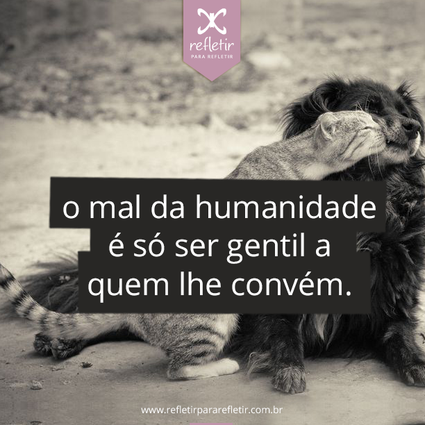 imagem da publicacao