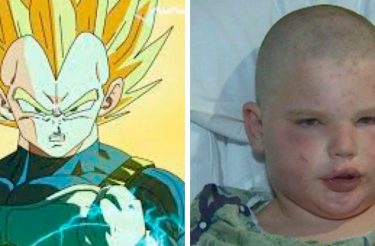 Menino usa “técnica” do saiyajin Vegeta para SOBREVIVER ao ataque de 400 abelhas!