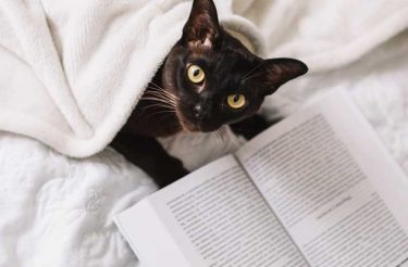 Trechos inteligentes de livros famosos que nos fazem PENSAR