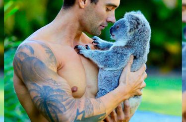 Bombeiros australianos posam com animais para o calendário de caridade
