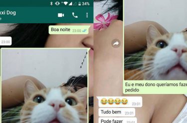 Cliente criativo e seu gato pedem sanduíche por whatsapp e conversa hilária viraliza