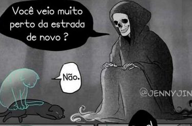 Artista emociona pessoas de todo mundo com seus quadrinhos sobre animais