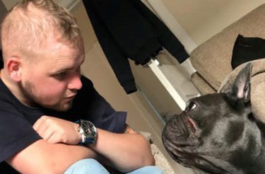 Partiram juntos, cachorro morre 15 minutos depois de seu humano