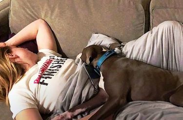 Cachorrinha ‘terapeuta’ ajuda tutora a superar luto após perda da gravidez: ‘Amiga fiel’ [Vídeo]