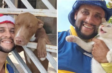 Carteiro brasileiro registra amizade com animais que encontra no trabalho e viraliza no mundo todo [Fotos]