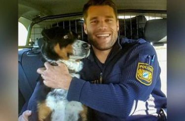 Cachorro que fugiu de casa tem reação hilária ao ser “preso” pela polícia