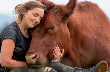 Mulher é melhor amiga de touro enorme que resgatou quando ainda era filhote