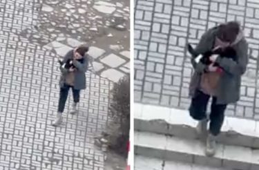 Mulher na Ucrânia é vista confortando gato enquanto sirenes de ataque aéreo soam [Vídeo]