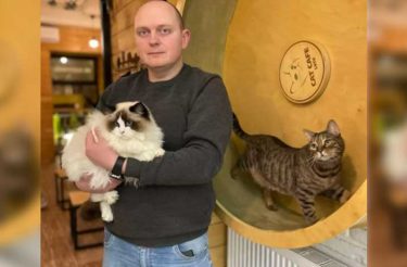 Ucraniano mantém café de gatos aberto para cuidar de seus 20 moradores, mesmo durante a guerra