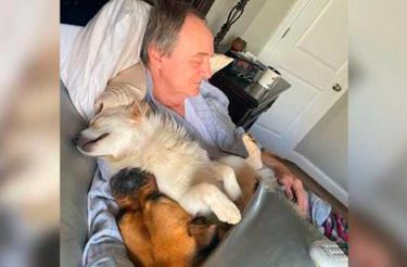 Mulher encontra pai cochilando com TODOS os cães dos vizinhos