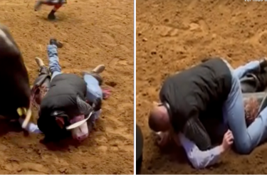 Pai pula em cima do filho inconsciente para protegê-lo do ataque de um touro [Vídeo]