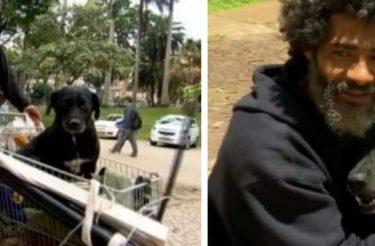 Morador de rua emociona por amor ao seu cão: Primeiro eu alimento ele, para depois eu me alimentar