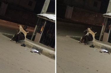 Mulher mentalmente instável abandonada pela família tem a proteção de seu Cão fiel