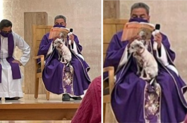 Padre levou cachorrinho doente a missa para não deixá-lo sozinho e foi duramente criticado