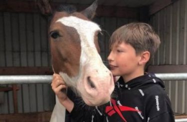 Menino salva cavalo de afogamento segurando sua cabeça por mais de uma hora