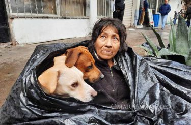 Mulher moradora de rua abriga ela mesma e seis cachorros em saco de lixo