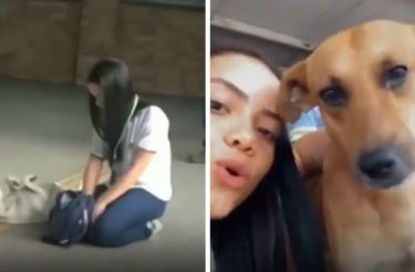 “Levo ração, água e amor”, diz adolescente filmada alimentando cães em terminal de ônibus do Ceará