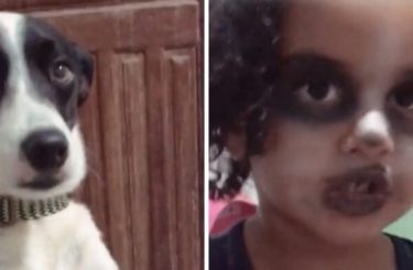 Menina de 3 anos faz maquiagem para ficar igual ao cachorro [Vídeo]