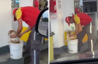 Funcionário de posto de gasolina dá banho em cachorros de rua que frequentam seu posto